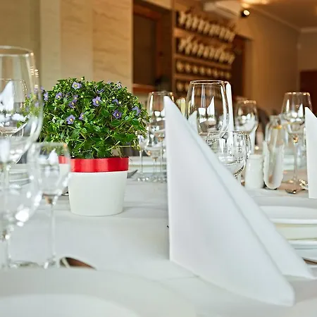 Hotel Styl 70 Pszczyna